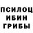 Галлюциногенные грибы мицелий rajn kay