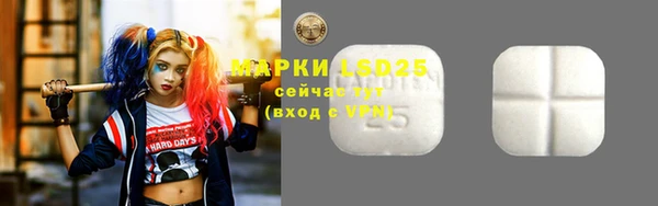 индика Киренск