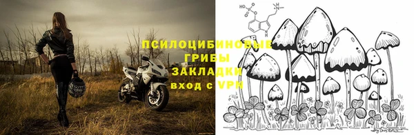 индика Киренск