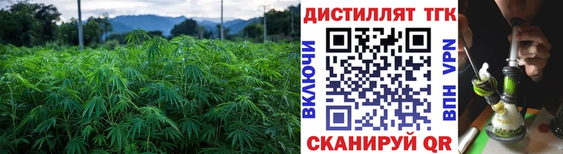 Дистиллят ТГК вейп с тгк  Медвежьегорск 