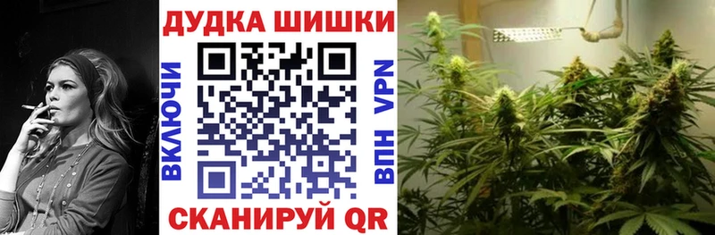 Шишки марихуана план  дарнет шоп  Медвежьегорск 